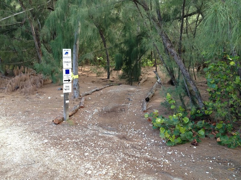 Trail Entrance