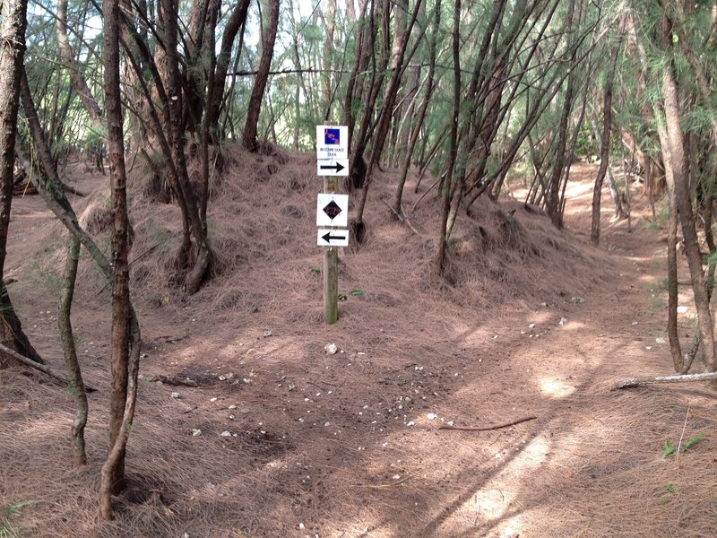 Trail separates into two sections/levels of difficulty.