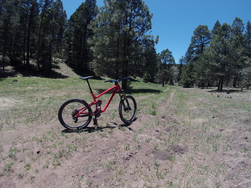 Starting on the downhill. Some fun doubletrack