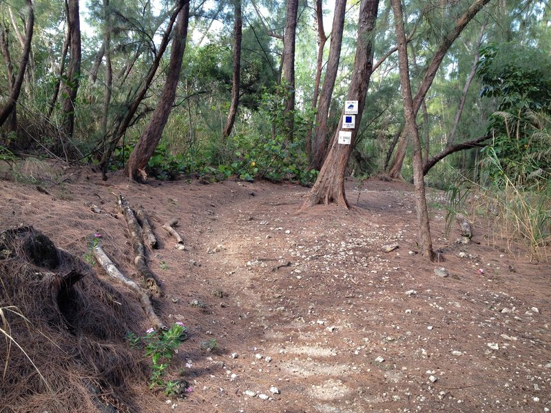 Entrance to Trail