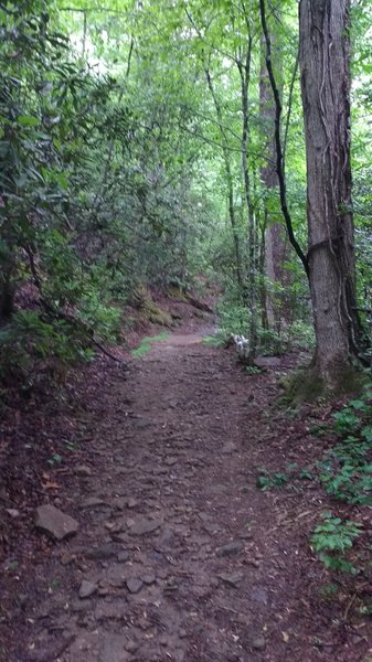 Entrance to Leroy Smith Nature Trail.