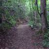 Entrance to Leroy Smith Nature Trail.