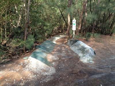 Trail Entrance.