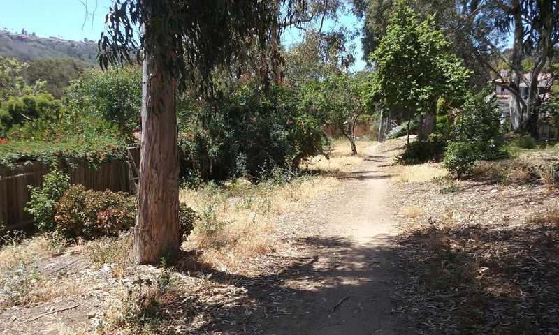 Backyard singletrack on the Valmonte Trail.