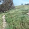 Where Valmonte Trail connects with Malaga Dunes