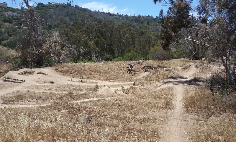 Jumps at Malaga Dunes.