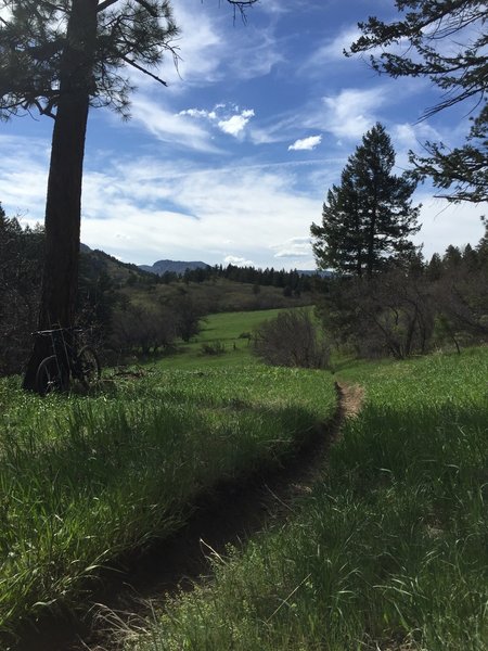 Riding through a cute valley on the Colorado Trail.