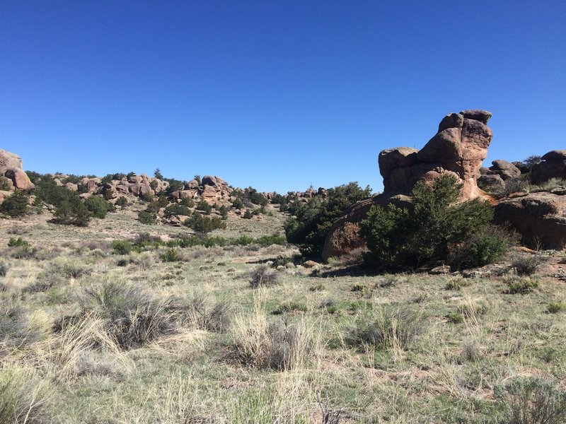 Typical scenery for the Stone Quarry area.