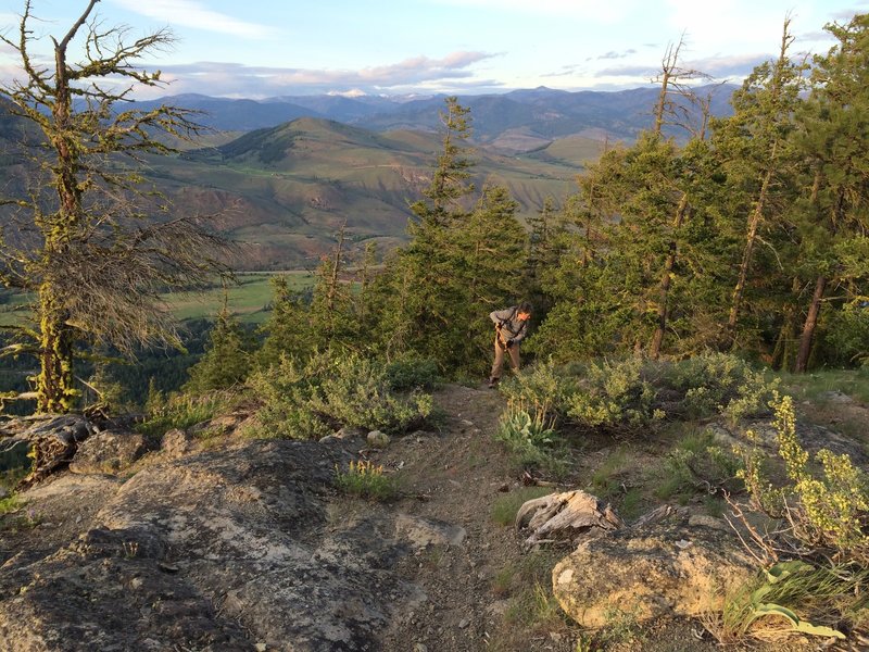 Virginian Ridge Trail at the uppermost overlook.