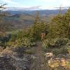 Virginian Ridge Trail at the uppermost overlook.