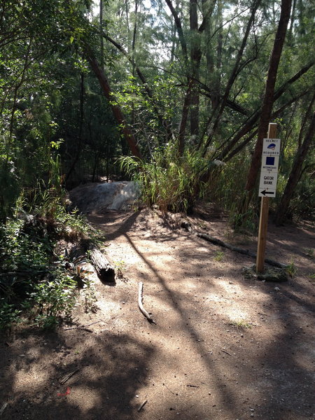Trail entrance.