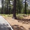 Northern entrance to the Ward Creek trail system.