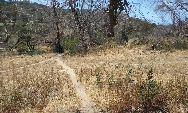 Singletrack at Malaga Dunes.