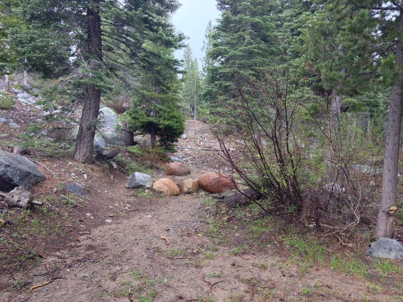 The north side of the trail for reference. Just an old jeep road that dumps onto the Rubicon Trail.