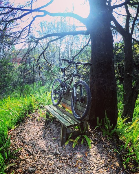 Lauren's Overlook Loop on ridgeline! Awesome rest spot on EPIC Trail! Giant Reign