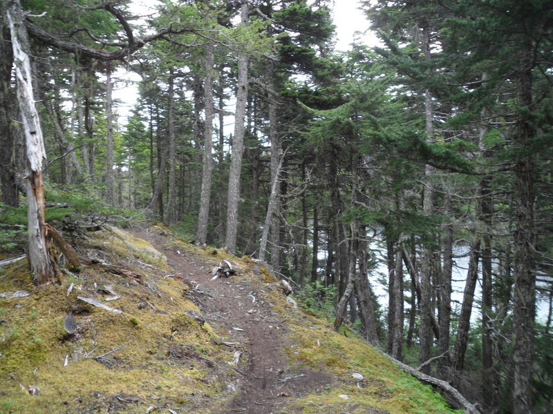 INHT - Meridian Lakes Trail singletrack.
