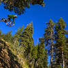 Dropping into summer in the Tetons! Grand Targhee summer opening is June 17, 2016