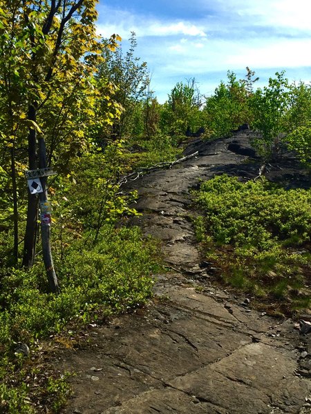 Northern Ontario's Canadian Shield riding at it's finest.