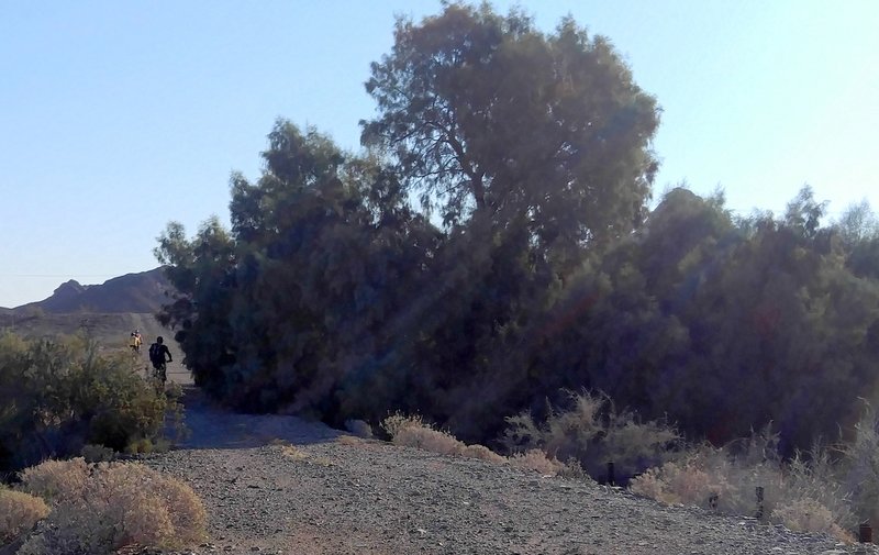 Canal road turnoff toward Westside.