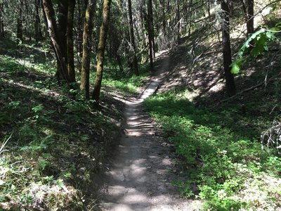 One of the easier bridges on near the end of the Bridges Trail.
