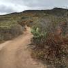 Riding up the many switchbacks on Stagecoach South Trail just south of Nix.