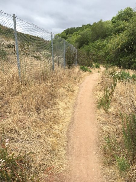 A short fence line along Stagecoach South Trail. The singletrack narrows in a few spots with overgrown brush.