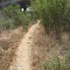 Stagecoach South Trail dives below Highway 73.