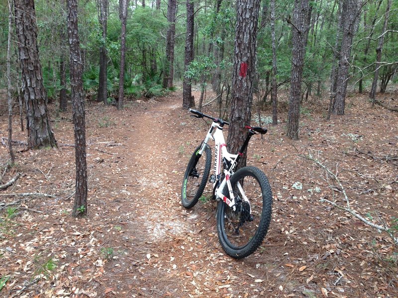 Red markings for the Carbo trail.