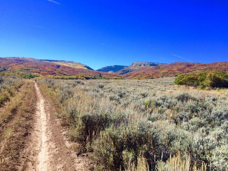 The climb to Pipeline.