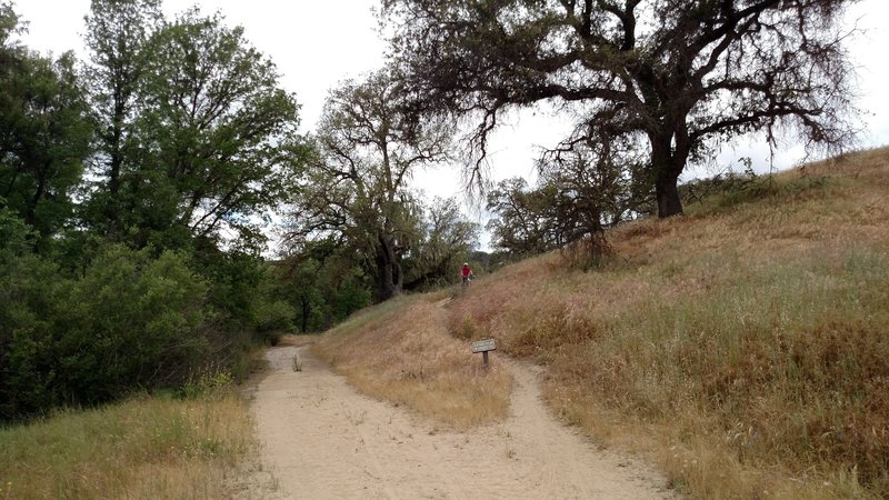 Coming down the singletrack.  Easy to miss sign showing Sandstone and Blinn Ranch Trails.