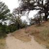 Coming down the singletrack.  Easy to miss sign showing Sandstone and Blinn Ranch Trails.