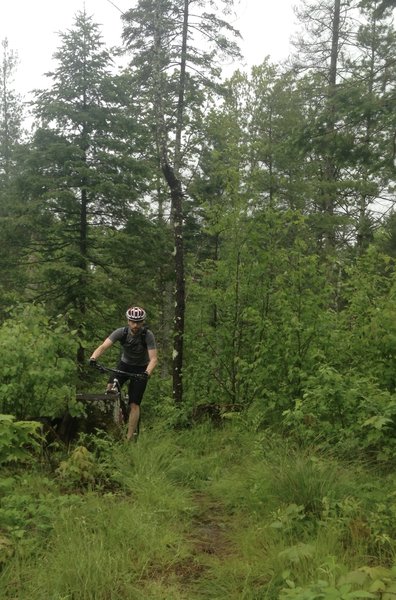 Riding some of the old school singletrack of east Ojibway trail