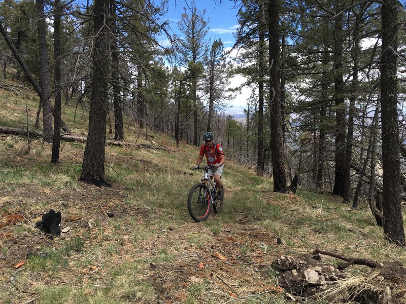 Almost made the climb to the mountain meadow and resting point. Solid work on a rough climb.