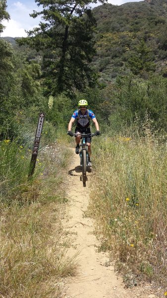 The Red Reef trailhead off Sisar Canyon road