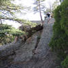 One of many rock slabs at the Bishop Rock Play Area!