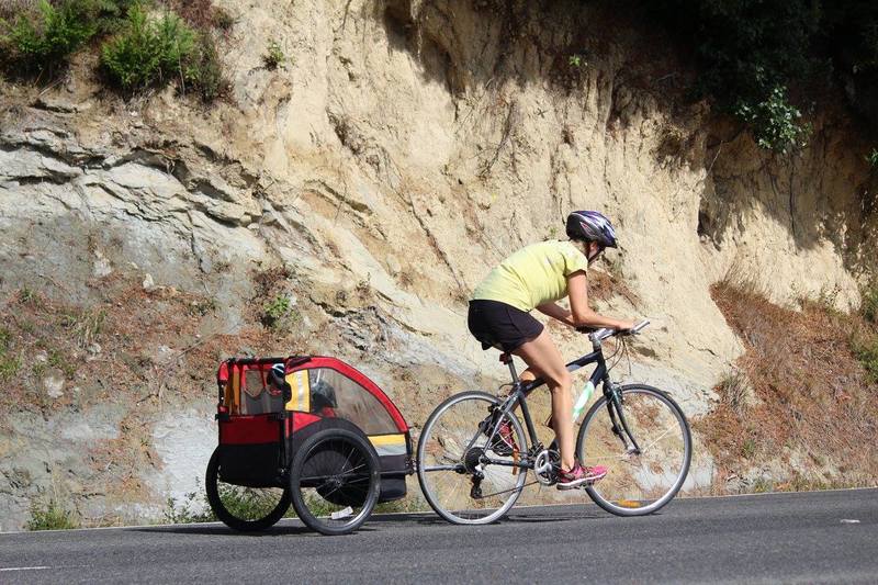 Some family members get an easy ride in The Raetihi Gutbuster.