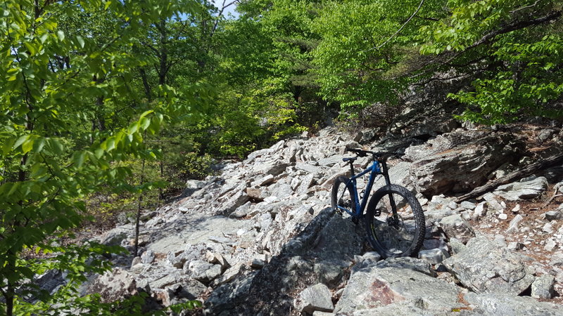 Did the loop in reverse today (clockwise). Pic coming down Signal Knob Trail.