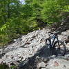 Did the loop in reverse today (clockwise). Pic coming down Signal Knob Trail.