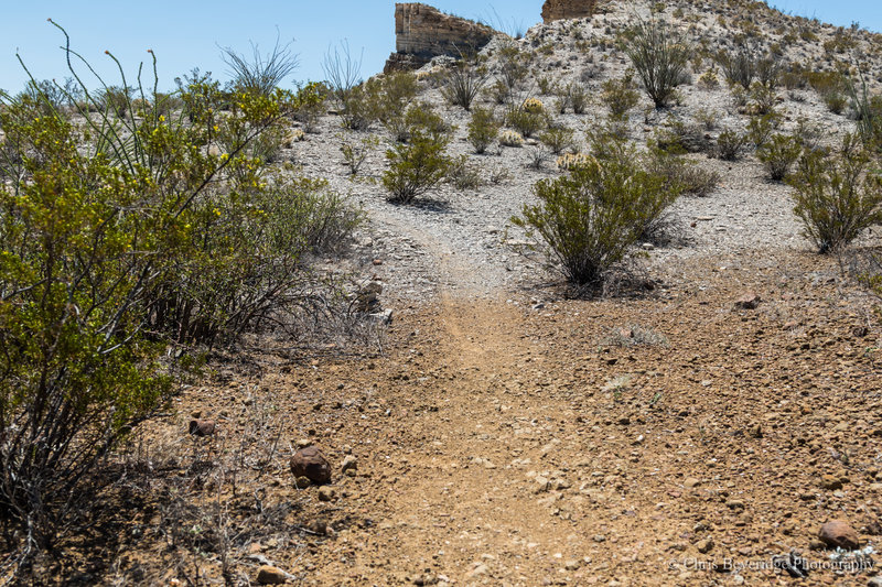 Most of the trail is sandstone but there is the sharp change from sandstone to mudstone.