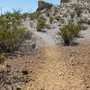 Most of the trail is sandstone but there is the sharp change from sandstone to mudstone.