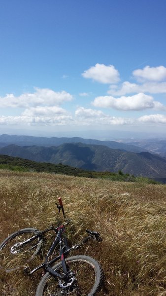 Top of Liebre Mountain looking southwest.