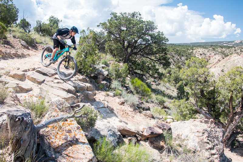 The downhill segment of the Gunny Loops is one of the best in the Fruita - Grand Junction area.