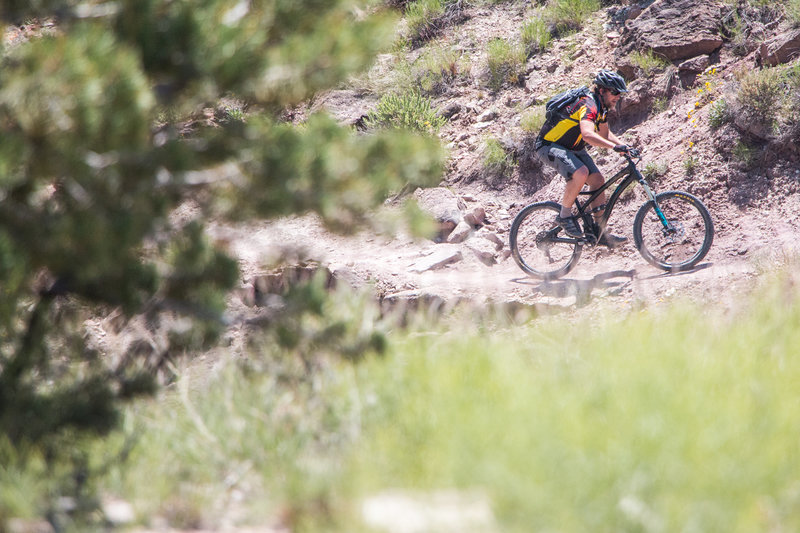 Climbing a short uphill after the exhilarating Gunny Loop descent.