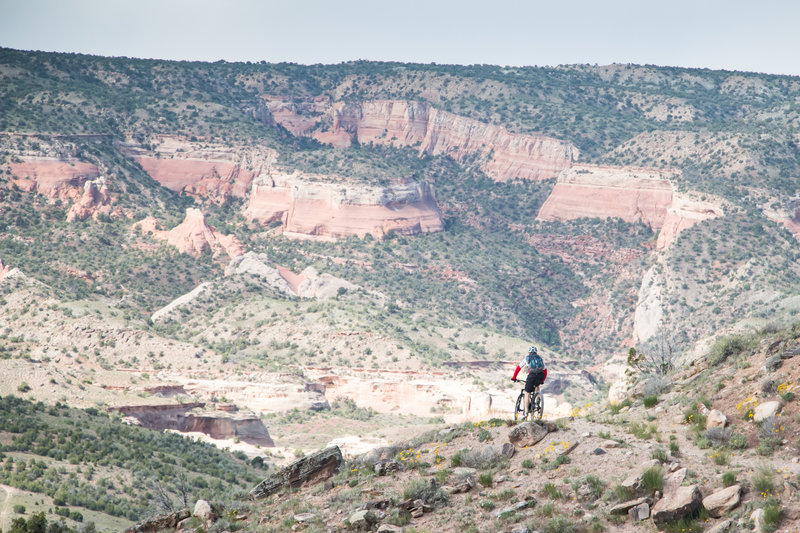 Killer trail and beautiful views, can't ask for much more on the Lion's Loop!