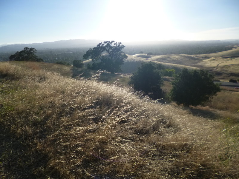 View west from the Ohlone Trail.