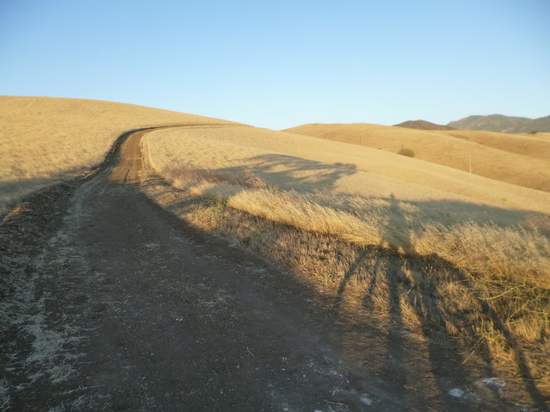 Paraiso Trail looking east towards Mt. Diablo.