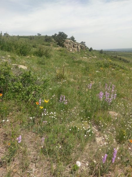 Rocky cliff in the distance