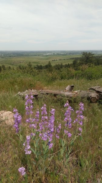 Looking north from the backside of the Eagle Wind Trail