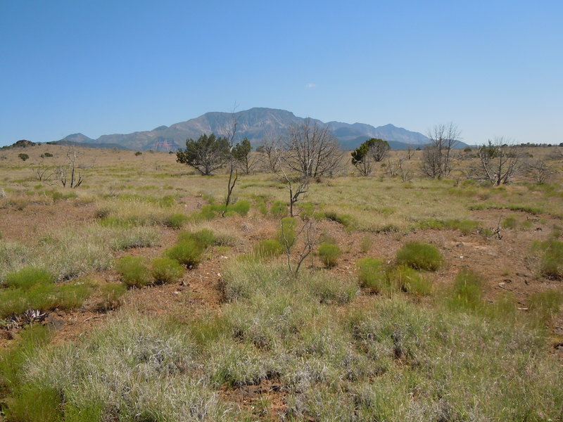 From Broken Mesa Trail.