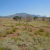 From Broken Mesa Trail.